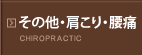 その他・肩こり・腰痛